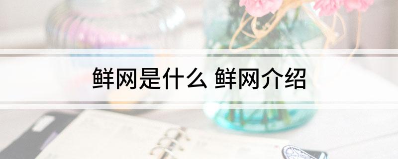 鲜网是什么(鲜网介绍)