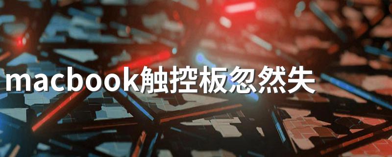 看这里_macbook触控板忽然失灵