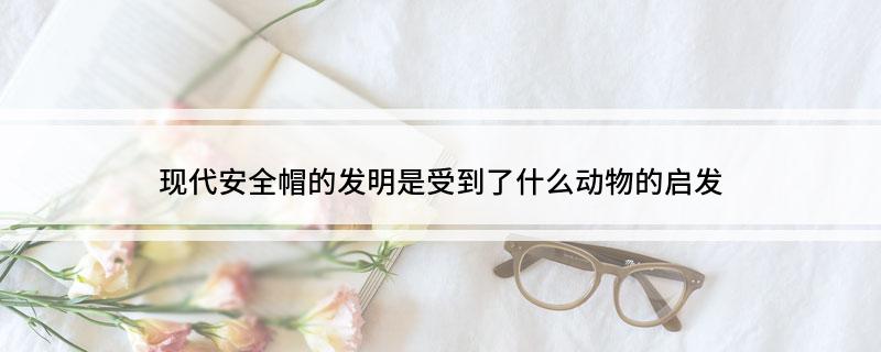 现代安全帽的发明是受到了什么动物的启发