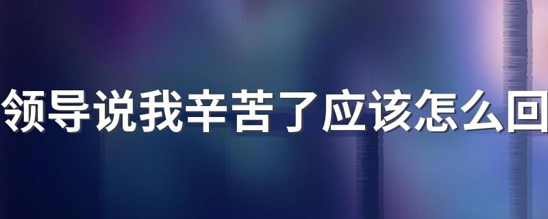 当领导说你辛苦了应该怎么回答_领导说我辛苦了应该怎么回