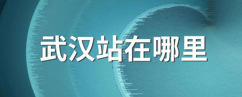 武汉站位置介绍_武汉站在哪里