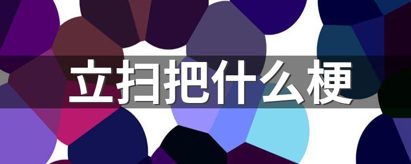 关于立扫把的意思介绍_立扫把什么梗