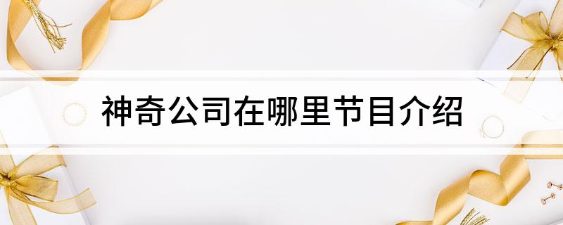 神奇公司在哪里节目介绍