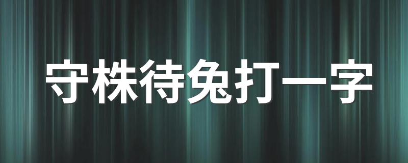 字谜内容介绍_守株待兔打一字