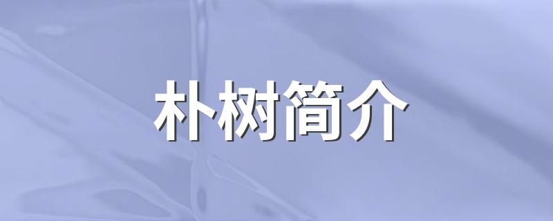朴树介绍_朴树简介