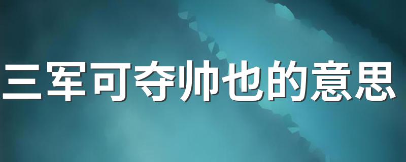 三军可夺帅也介绍_三军可夺帅也的意思