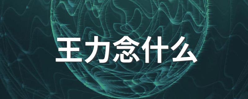 生字王力读什么_王力念什么