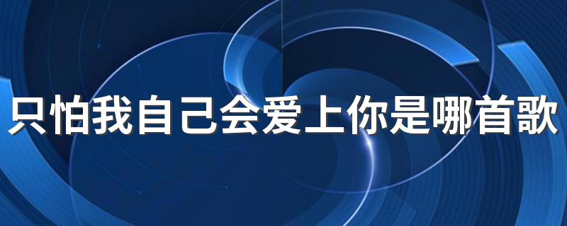 只怕我自己会爱上你出自哪首歌_只怕我自己会爱上你是哪首歌的歌词