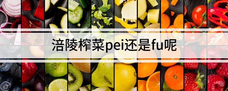 涪陵榨菜pei还是fu呢