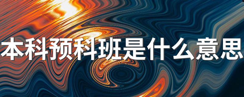 本科预科班解释_本科预科班是什么意思