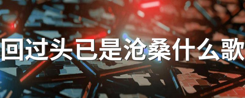 回过头已是沧桑的歌词_回过头已是沧桑什么歌