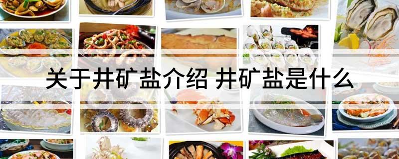 关于井矿盐介绍(井矿盐是什么)