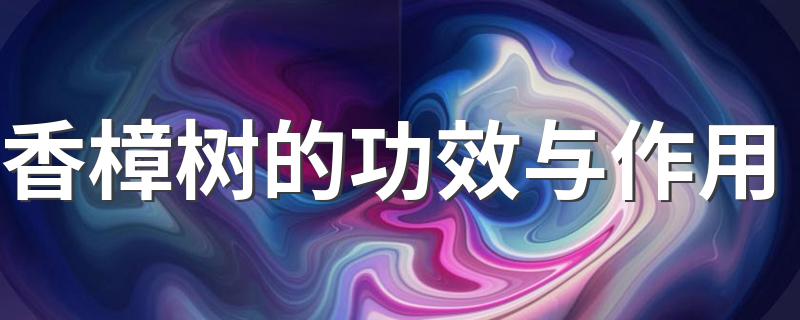 香樟树的简单介绍_香樟树的功效与作用