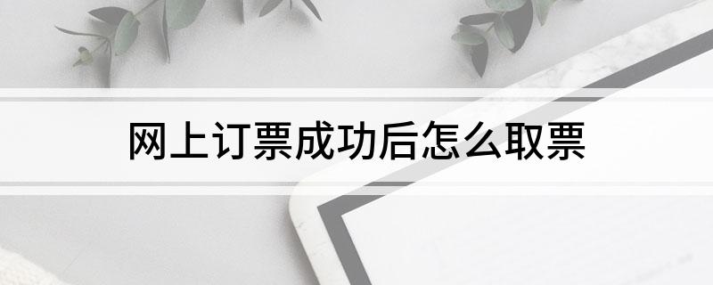 网上订票成功后怎么取票