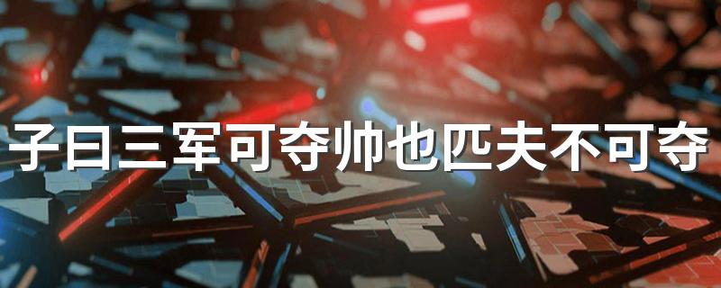 出自何处_子曰三军可夺帅也匹夫不可夺志也的意