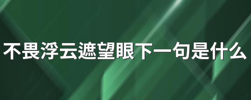 不畏浮云遮望眼下一句解释_不畏浮云遮望眼下一句是什么
