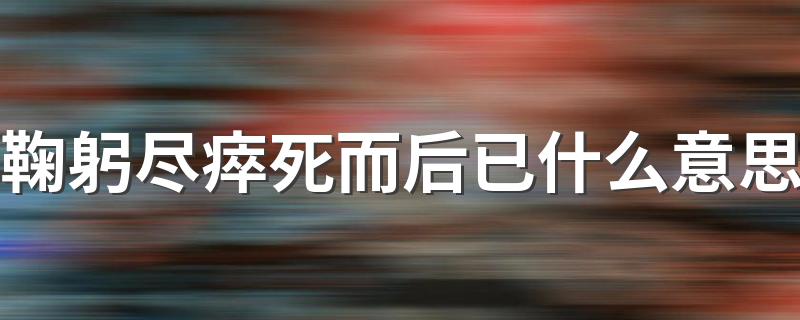 鞠躬尽瘁死而后已的意思_鞠躬尽瘁死而后已什么意思