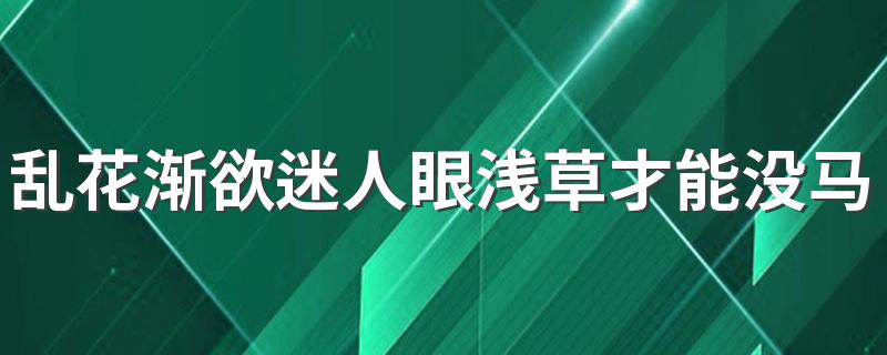 乱花渐欲迷人眼,浅草才能没马蹄如何理解_乱花渐欲迷人眼浅草才能没马蹄的意
