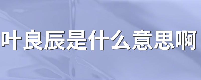 叶良辰的简介_叶良辰是什么意思啊
