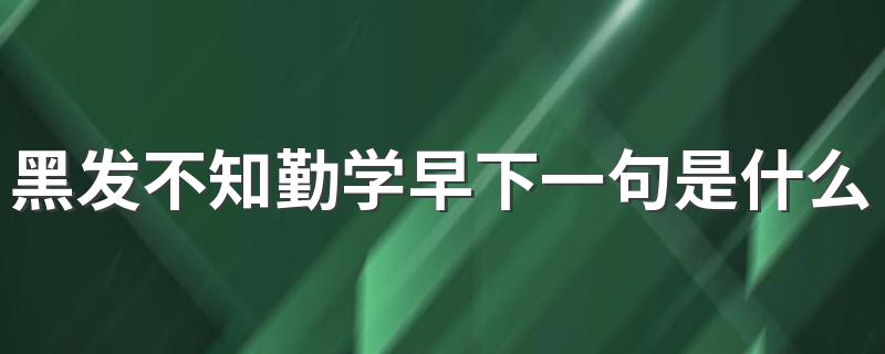 下面给大家介绍_黑发不知勤学早下一句是什么
