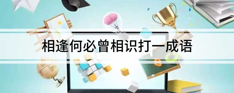 相逢何必曾相识打一成语(相逢何必曾相识打一成语是什么)