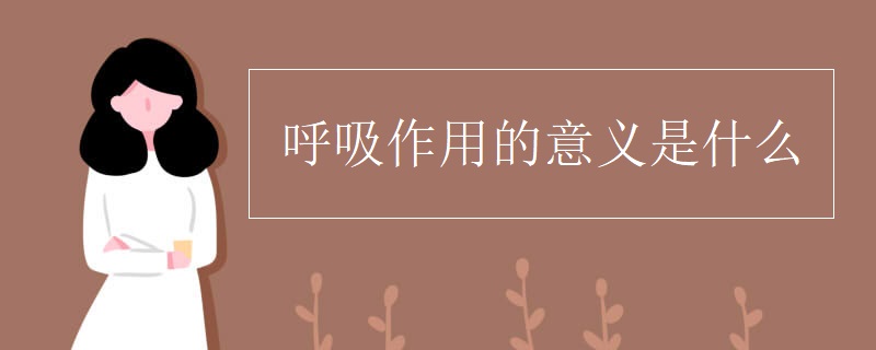 呼吸作用的意义是什么