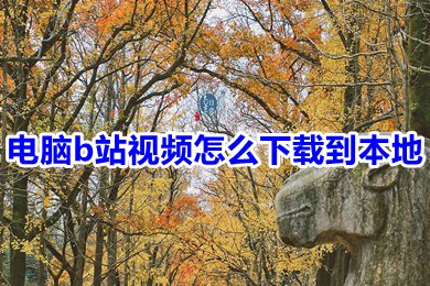 电脑b站视频怎么下载到本地(将b站视频保存到电脑本地的方法介绍)