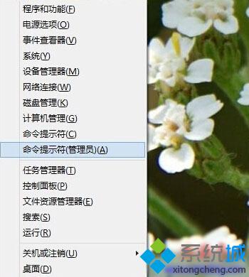 Win8、win10进行Winsock重置步骤1