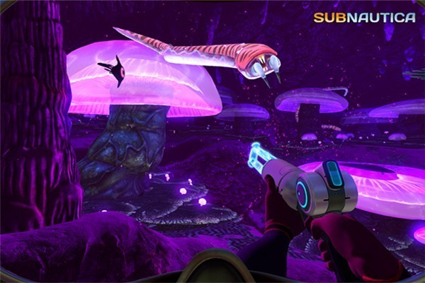 Subnautica水下之旅