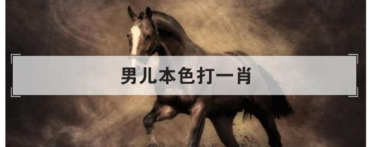 男儿本色打一肖