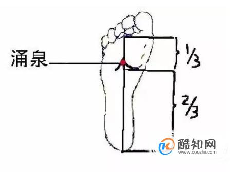 涌泉穴位位置图和作用