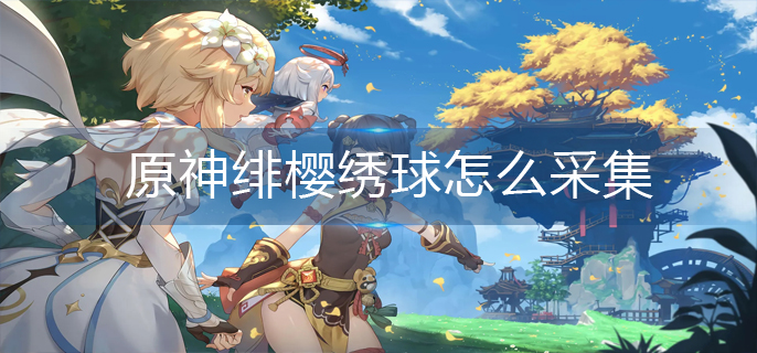 原神绯樱绣球怎么采集(绯樱绣球采集方法)
