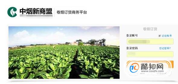 新商盟网上订烟系统如何订烟