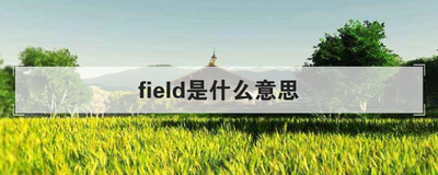 field是什么意思