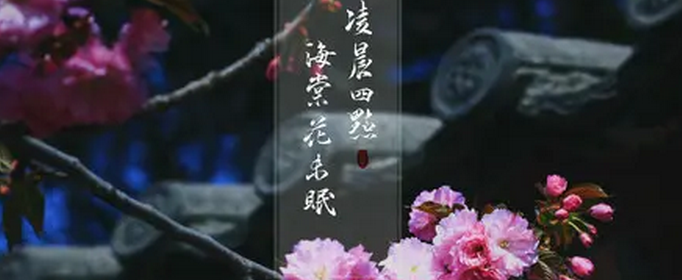 看到海棠花未眠的下一句是什么？