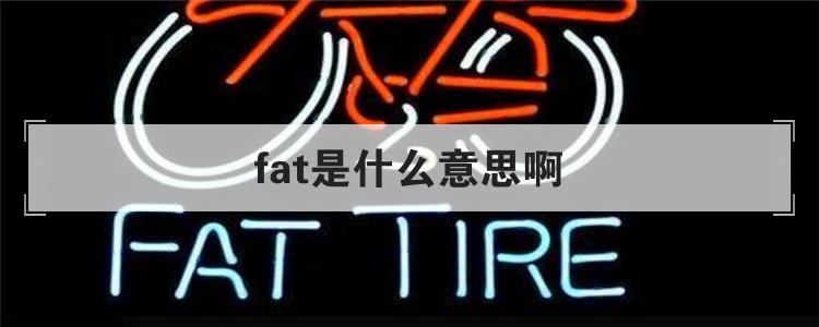 fat是什么意思啊