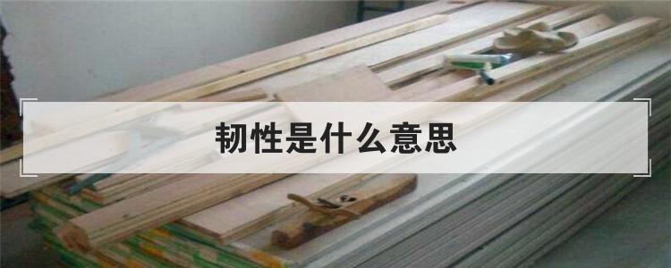 韧性是什么意思
