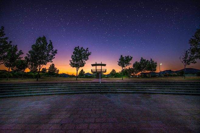 field是什么意思