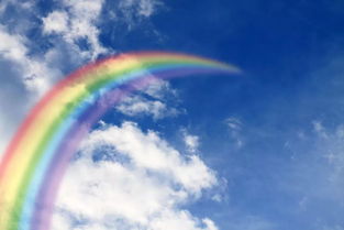 rainbow是什么意思