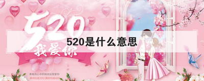 520是什么意思