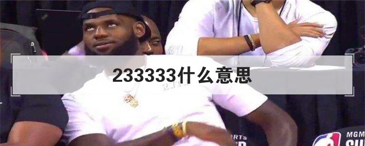 233333什么意思