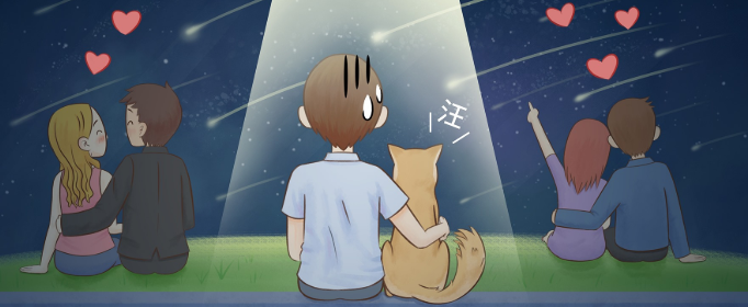 ds是什么意思啊？