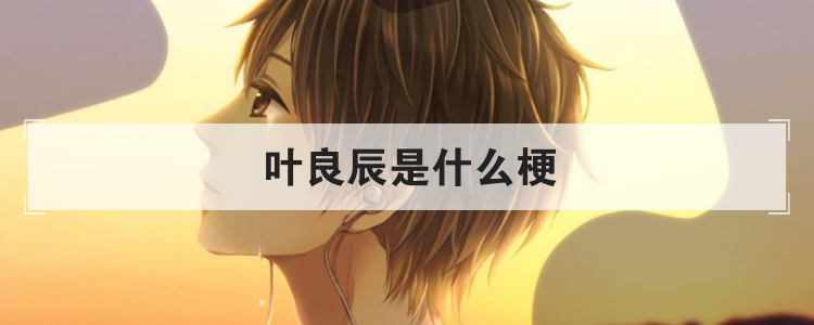叶良辰是什么梗