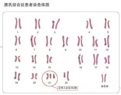 213什么意思