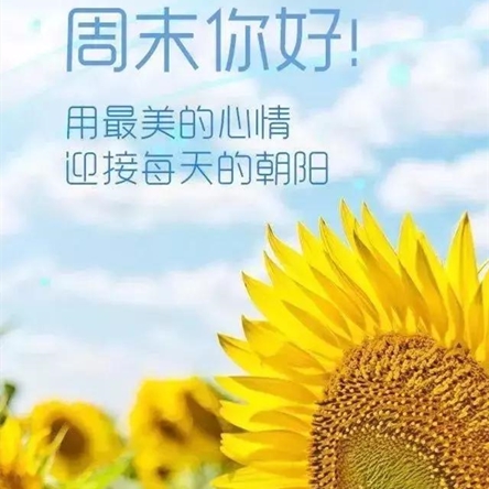 周末是指哪一天？