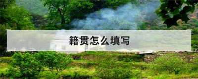 籍贯怎么填写