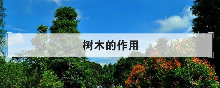 树木的作用