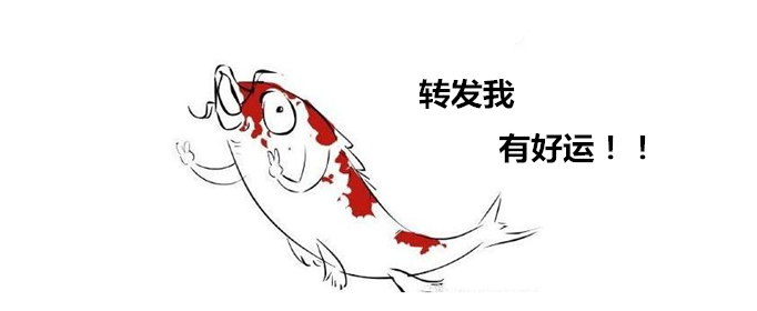 锦鲤是什么梗？