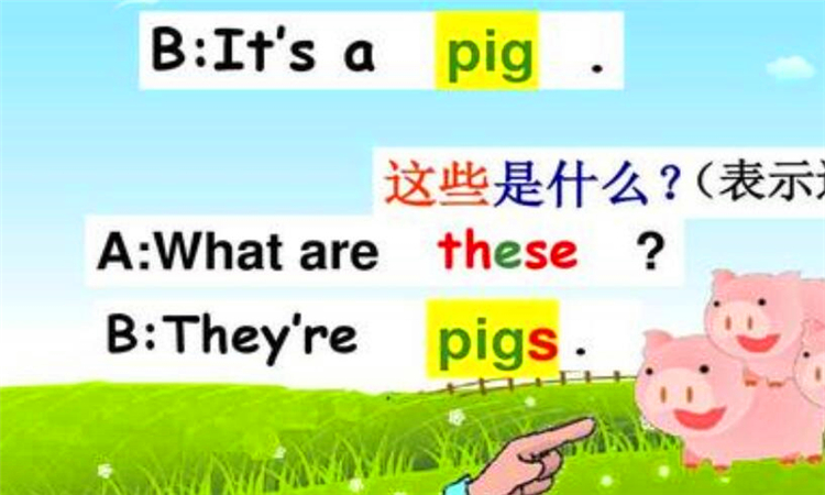 these是什么意思