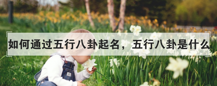如何通过五行八卦起名，五行八卦是什么